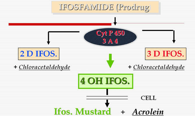 ifosfamide