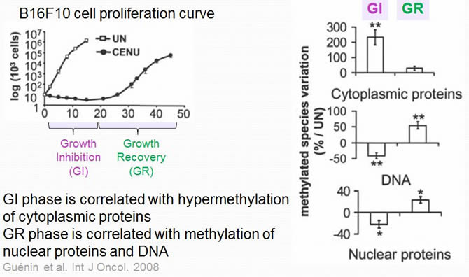 Chemotherapy alters cell methylation