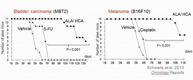 ALA/ HCA Efficacy