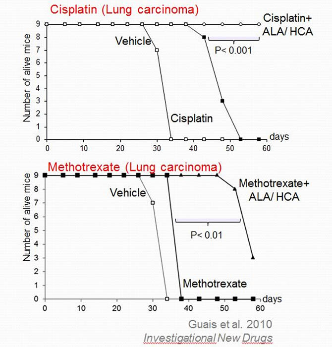 ALA/ HCA combined with chemotherapy