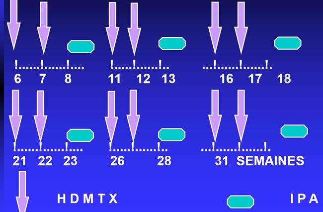 méthotrexate