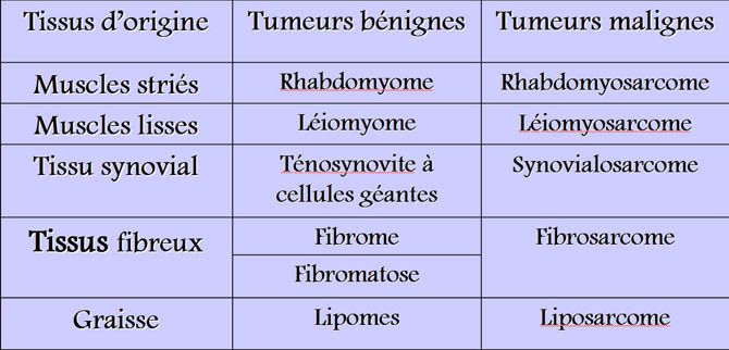 Classification Histologique 1