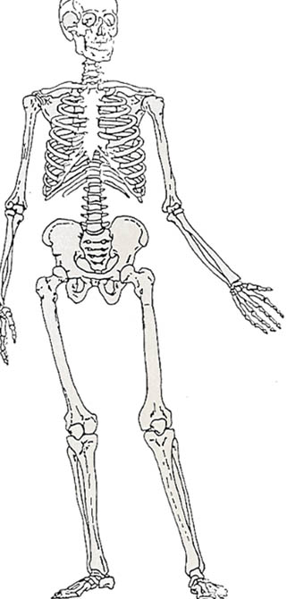 Topograpie des Kystes