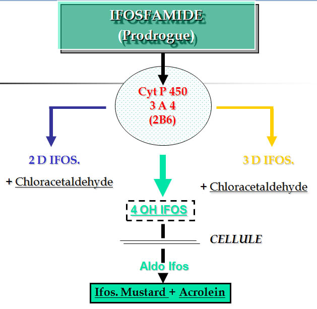 IFOSAMIDE