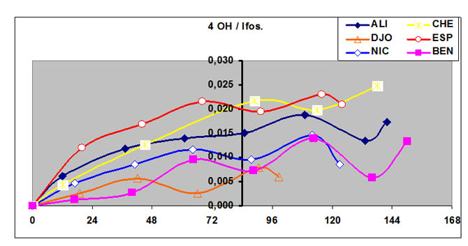 Cinétique comparées des concentrations 4 OH Ifsos