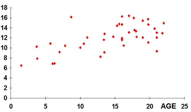 Correlation age-concentration 2