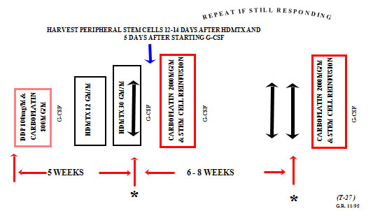 Harvest peripherical stem cells