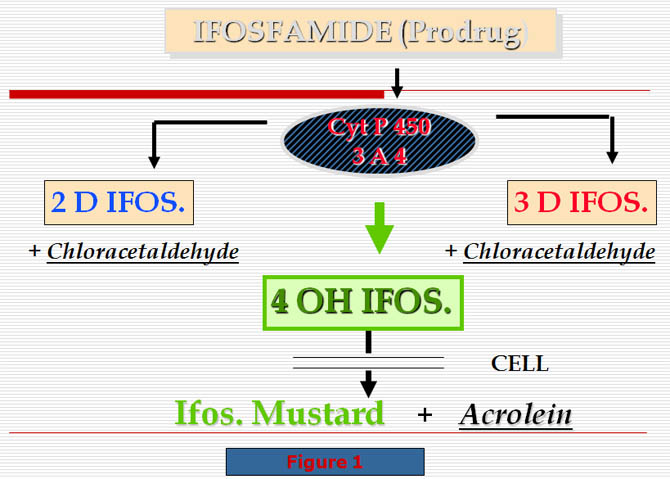 Ifosfamide