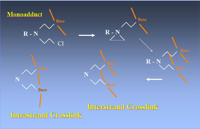 monoadduct