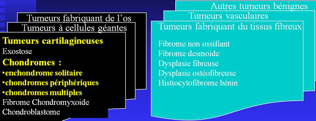 Chondromes