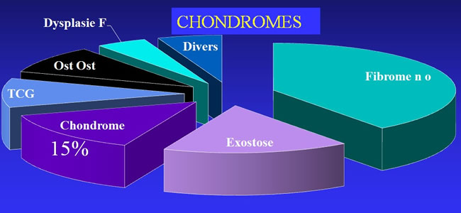 Chondromes